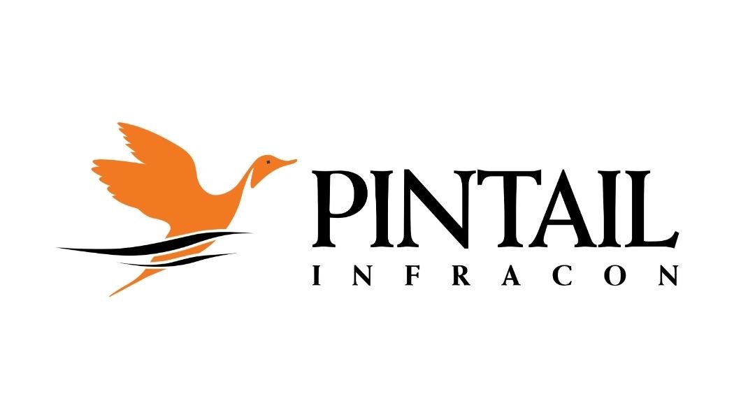 pintail